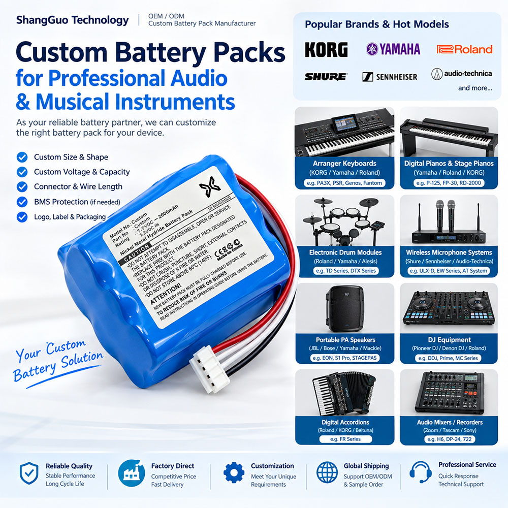 Musical Instrument Battery Musical Instrument Battery